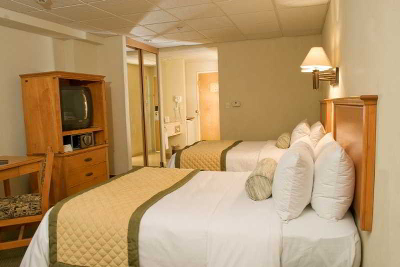 Antaris Galerias Hotel Monterrei Quarto foto